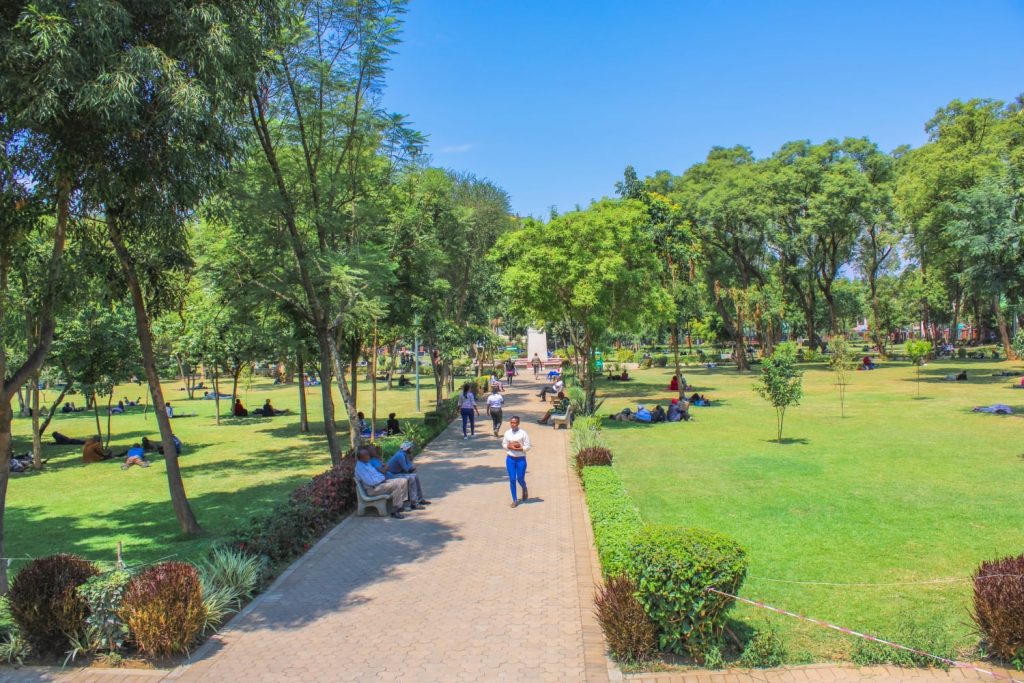 Nakuru City Nyayo Gardens Env
