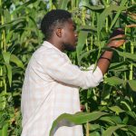 County to assist youth venturing into agriculture