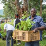 Farmers encouraged to crop diversify to increase income and ensure food and nutrition security