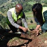 Nakuru County Residents Unite for Tree Planting and Environmental Conservation