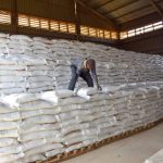 Nakuru County emerges second biggest beneficiary of the subsidized fertilizer program