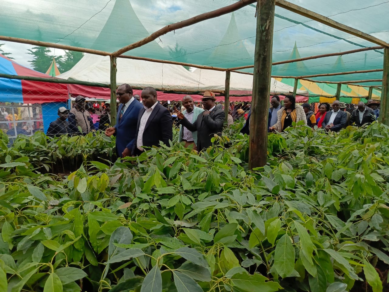 Agriculture in Nakuru