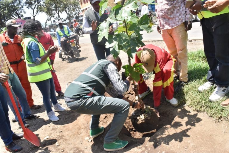 Nakuru Tree Planting